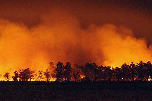 A wildfire